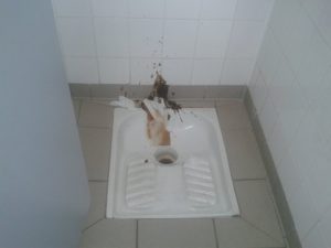 Photo de Raté le trou