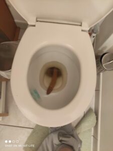 Photo de Dimitri