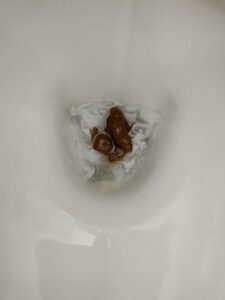 Photo de Free turd