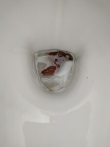 Photo de Merde