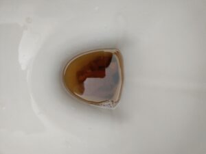 Photo de caca