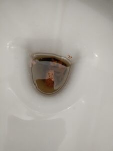 Photo de caca
