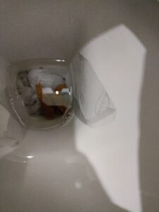 Photo de Shit