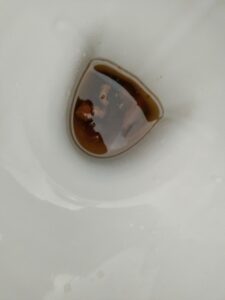 Photo de caca