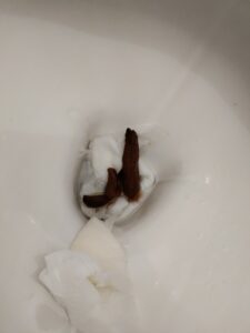 Photo de Caca