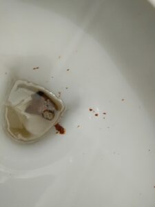 Photo de caca