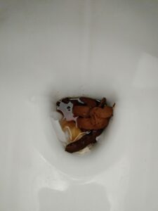 Photo de non fini