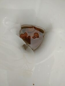 Photo de de caca