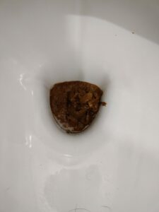 Photo de caca