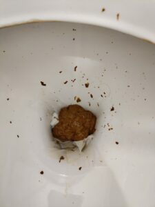 Photo de merde