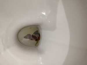 Photo de Caca