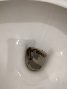 Photo de caca