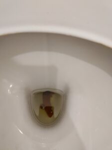 Photo de caca