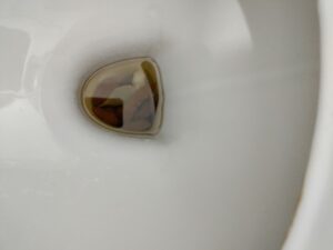 Photo de shit