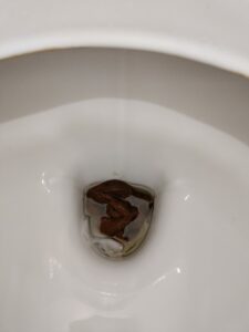 Photo de merde