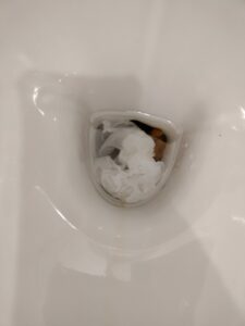 Photo de du matin