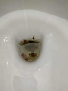 Photo de caca