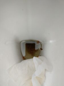 Photo de caca