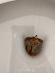 Photo de caca