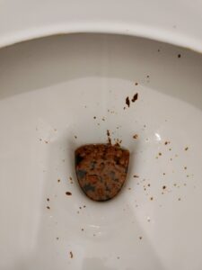 Photo de du matin