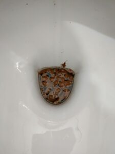 Photo de caca