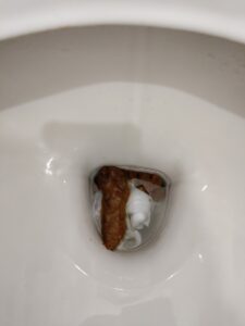 Photo de caca
