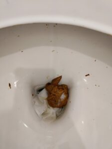 Photo de caca