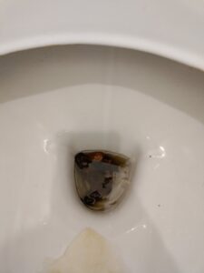 Photo de et caca au réveil