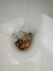 Photo de shit