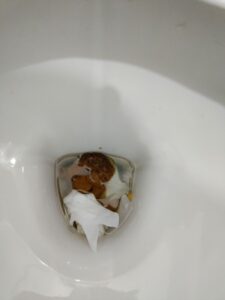 Photo de caca