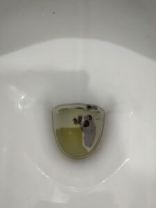 Photo de de la merde !