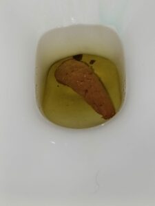 Photo de Normal poop