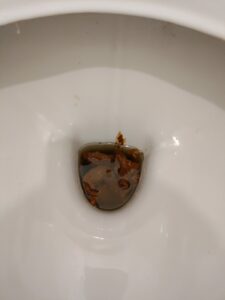 Photo de caca