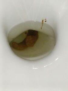 Photo de Caca
