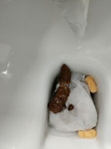 Photo de caca