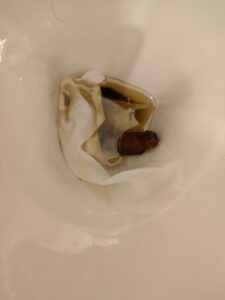 Photo de Soulage