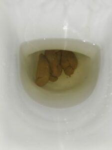 Photo de Gros caca bien dur