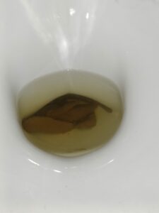 Photo de Ça envoi fort