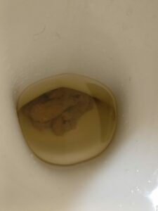 Photo de Petite décharge