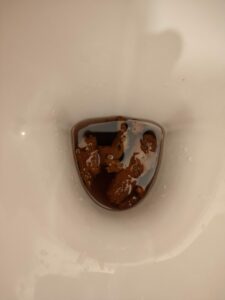 Photo de caca