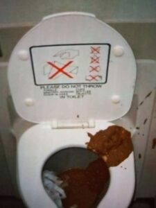 Photo de Chiasse qui a sorti tout seul et je l&rsquo;ai pas vu venir j&rsquo;ai mangé trop de tacos hier