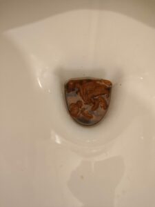 Photo de shit