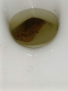 Photo de Cul déchaîné