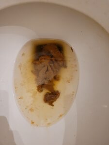 Photo de Éveil du soir
