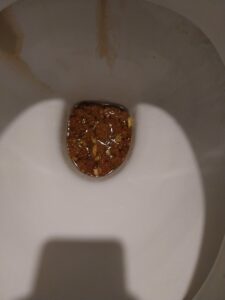 Photo de Gros caca bien liquide, un vrai délice
