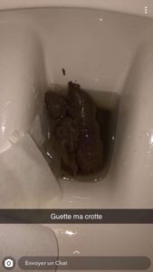 Photo de Le mastodonte