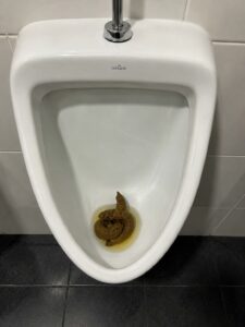 Photo de J’ai stressé pardon