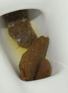 Photo de gro caca sa mère