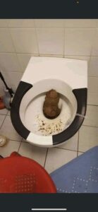 Photo de Massive shit