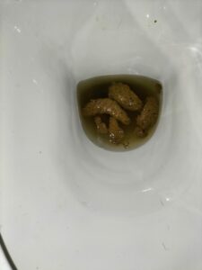 Photo de Gros caca